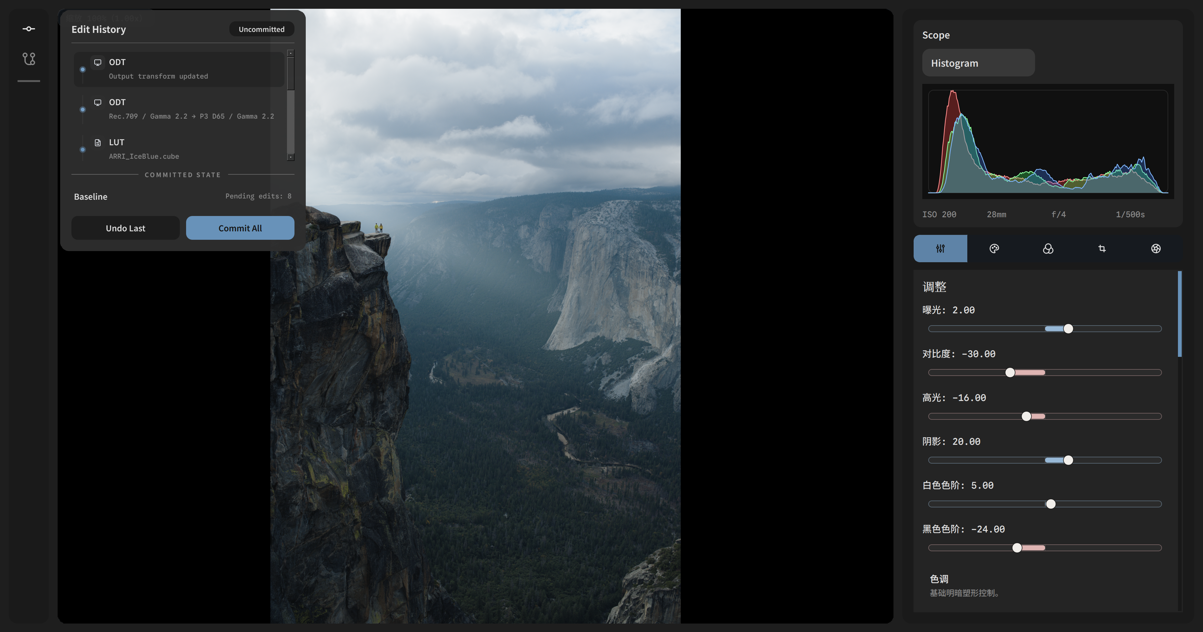 Branchable Edit History