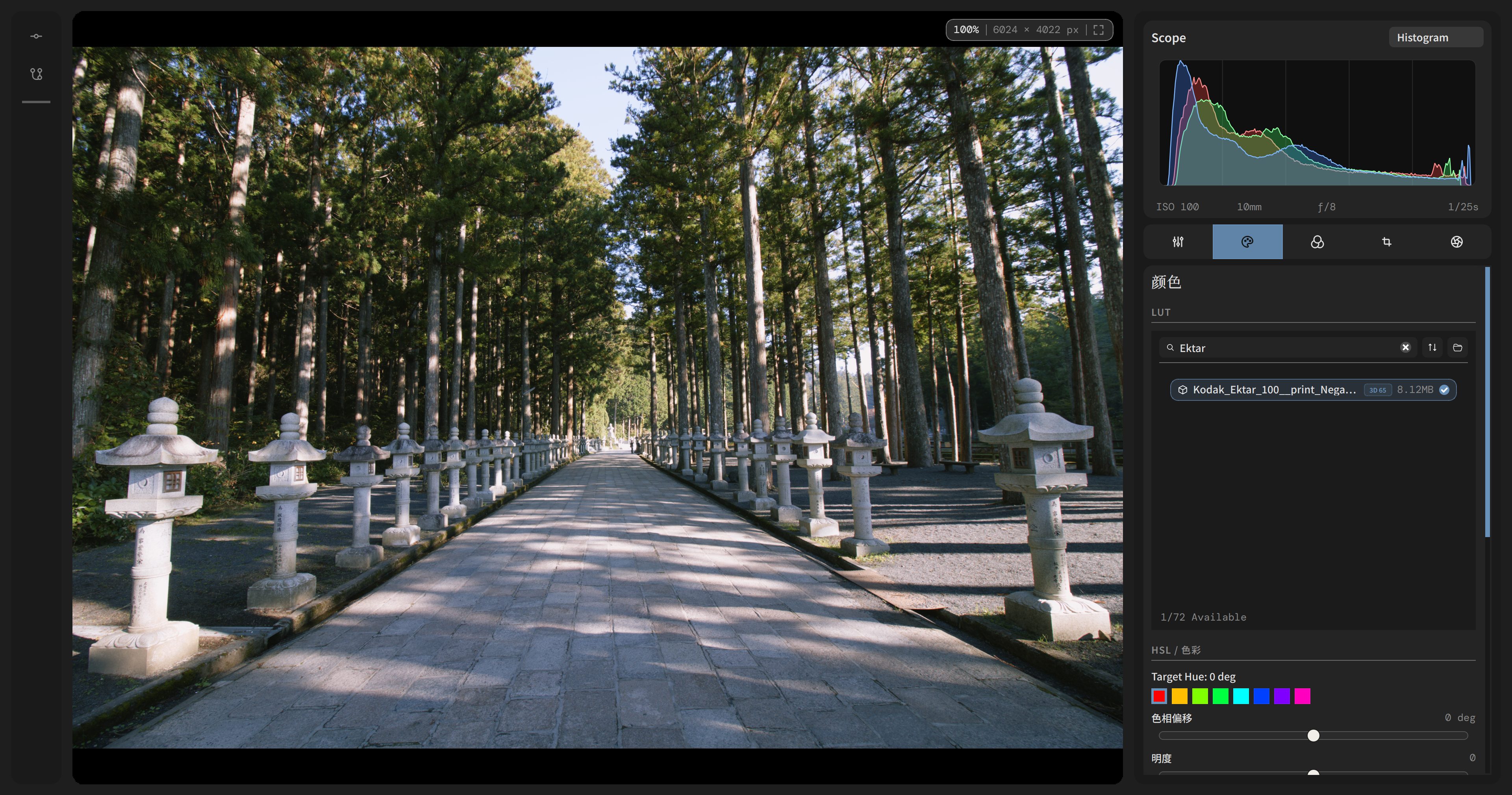 Ektar 100