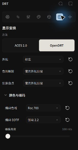 OpenDRT 与输出编码