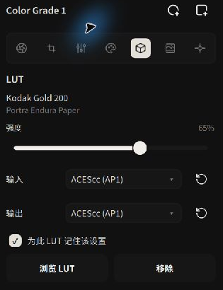 LUT 强度、输入与输出编码
